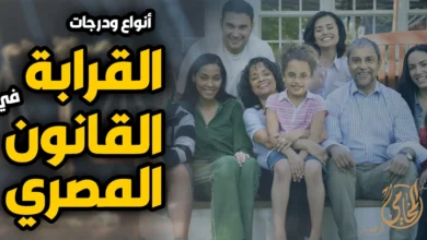 أنواع ودرجات القرابة فى القانون المصري مع صورة عائلة توضح صلة الأقارب وآثار القرابة القانونية