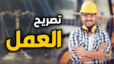 صورة توضيحية لموضوع تصريح العمل للمصريين الراغبين في العمل بالخارج
