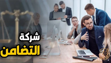 شركة التضامن في مصر ومناقشة الشركاء لتأسيس الشركة داخل مكتب أعمال