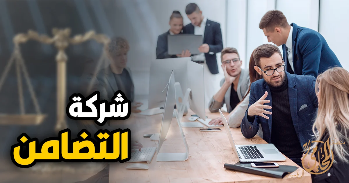 شركة التضامن في مصر ومناقشة الشركاء لتأسيس الشركة داخل مكتب أعمال