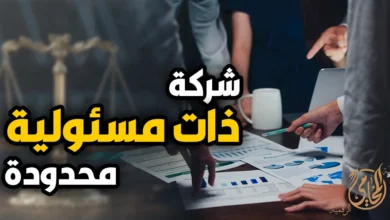 شركة ذات مسؤولية محدودة في مصر تظهر في صورة اجتماع عمل لمناقشة التقارير المالية والمستندات، بما يعبر عن تأسيس الشركة ذات المسؤولية المحدودة وإجراءات الإدارة القانونية للشركات.