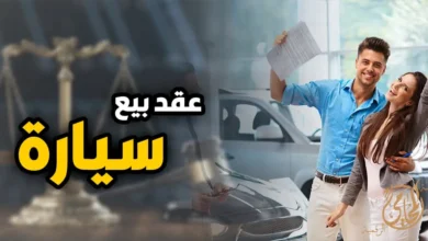 عقد بيع سيارة في القانون المصري موضحًا أهم البيانات الأساسية والبنود التي تحمي البائع والمشتري عند كتابة العقد.