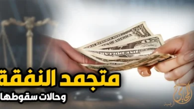 متجمد النفقة وحالات سقوطها في القانون المصري مع توضيح إجراءات تحصيل النفقة المتأخرة وحالات وقف تنفيذ حكم الحبس.