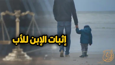 اثبات الابن للاب في القانون المصري من خلال دعوى إثبات النسب وحقوق الطفل أمام محكمة الأسرة