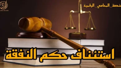 استئناف حكم النفقة وطرق الطعن على أحكام النفقة أمام محكمة الأسرة في مصر