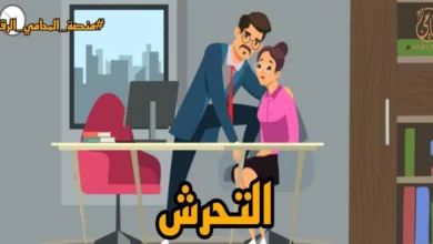 التحرش الالكترونى في مصر العقوبة وخطوات البلاغ وحماية الأدلة الرقمية بطريقة قانونية