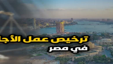 ترخيص عمل الاجانب في مصر وإجراءات استخراج تصريح العمل للأجانب