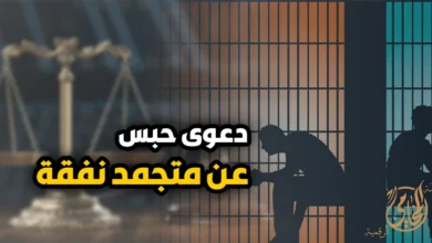 دعوى حبس عن متجمد نفقة وإجراءات تنفيذ حكم النفقة أمام محكمة الأسرة في مصر