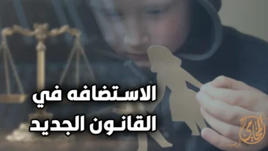 الاستضافة للطفل في القانون المصري وحق الأب في رؤية الصغير وتنظيم المبيت وفق مصلحة الطفل أمام محكمة الأسرة.