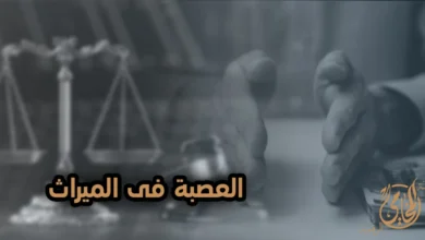 العصبة فى الميراث وكيفية توزيع التركة بين الورثة وفقًا لأحكام الميراث في القانون المصري