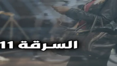 جريمة السرقة في القانون المصري وفق المادة 311 عقوبات مع شرح الأركان القانونية وشروط ثبوت الجريمة