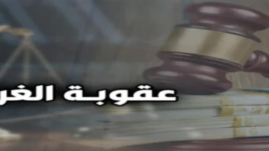 عقوبة الغرامة في القانون المصري وفق المادة 22 عقوبات مع شرح الأنواع والحدود القانونية