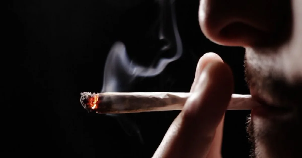 ملف قانوني عن جريمة تعاطي المخدرات يوضح أركان الجريمة والعقوبة ومناقشة الأدلة الفنية والإجرائية أمام المحكمة المصرية