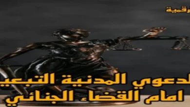 الدعوى المدنية التبعية أمام القضاء الجنائي في مصر وشرح شروط قبولها وفق المادة 266 من قانون الإجراءات الجنائية