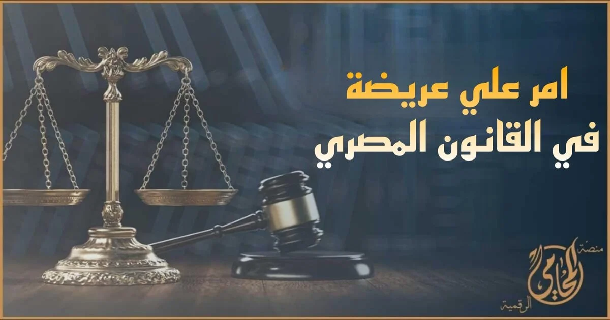 امر علي عريضة في القانون المصري مع ميزان العدالة ومطرقة المحكمة