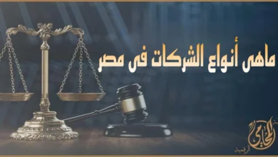 صورة قانونية توضح أنواع الشركات فى مصر مع ميزان العدالة ومطرقة المحكمة لشرح الفرق بين شركات الأشخاص وشركات الأموال والشركة ذات المسؤولية المحدودة والمنشأة الفردية.