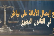 توقيع إيصال الأمانة على بياض في القانون المصري: متى يحمي حقك ومتى يفتح باب البراءة؟