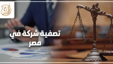 تصفية شركة في مصر بشكل قانوني مع مستندات شركات وملفات قانونية داخل بيئة أعمال رسمية.