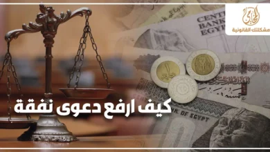 كيف أرفع دعوى نفقة في مصر وصورة تعبر عن إجراءات دعوى النفقة في مصر أمام المحكمة مع رموز العدالة والمال