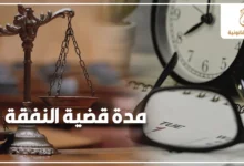 مدة قضية النفقة في القانون المصري والوقت المتوقع للفصل في دعوى النفقة أمام محكمة الأسرة