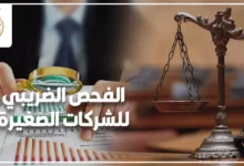 استشارة قانونية حول الفحص الضريبي للشركات الصغيرة ومراجعة الفواتير والمستندات لتجنب الغرامات الضريبية.