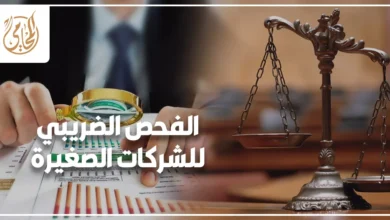 استشارة قانونية حول الفحص الضريبي للشركات الصغيرة ومراجعة الفواتير والمستندات لتجنب الغرامات الضريبية.