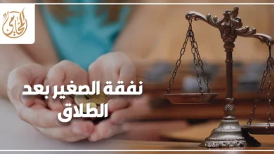نفقة الصغير بعد الطلاق في القانون المصري وحقوق الأبناء بعد انفصال الزوجين.