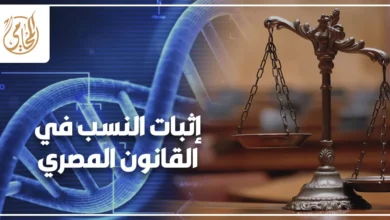 إثبات النسب في القانون المصري بالأدلة القانونية وتحليل البصمة الوراثية DNA أمام محكمة الأسرة.
