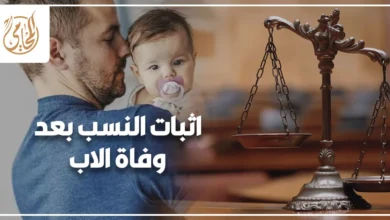 اثبات النسب بعد وفاة الاب في مصر وإجراءات دعوى النسب أمام محكمة الأسرة