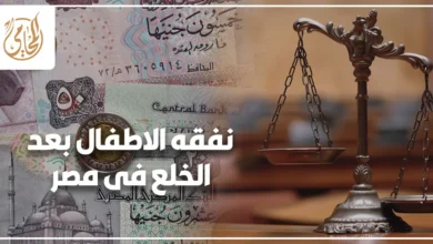 نفقه الاطفال بعد الخلع فى مصر وميزان العدالة مع العملة المصرية