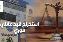 استخراج قيد عائلي فوري في مصر وإجراءات الحصول على القيد العائلي بسرعة