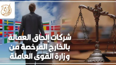 شركات إلحاق العمالة بالخارج المرخصة من وزارة القوى العاملة في مصر